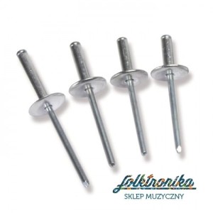 Nity z szerokim łbem 4,8x24 Bralo